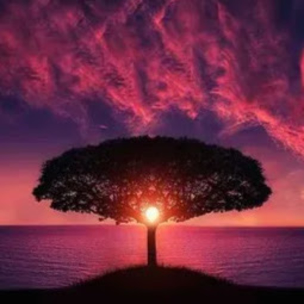 Meet your Posher, Raymond